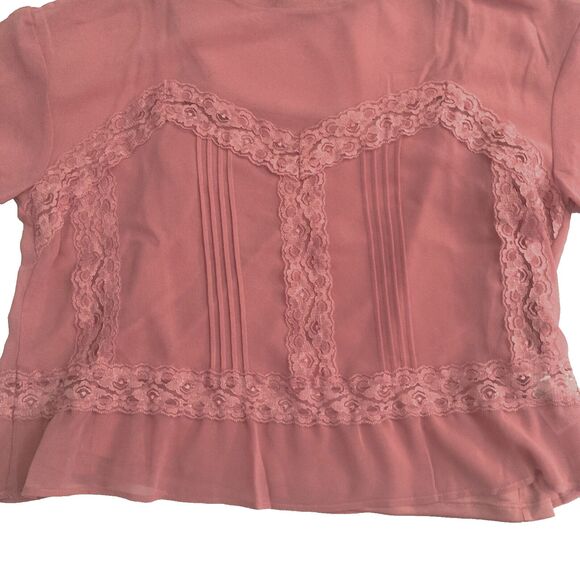 Adrianna Papell Sheer Lace Blouse Size SMALL Rose Pink Retro Mesh Coquette - Picture 3 of 11
